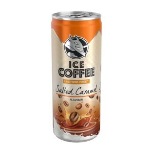 HELL ICE COFFEE SALTED CARAMEL PM £1,25 12x250ML